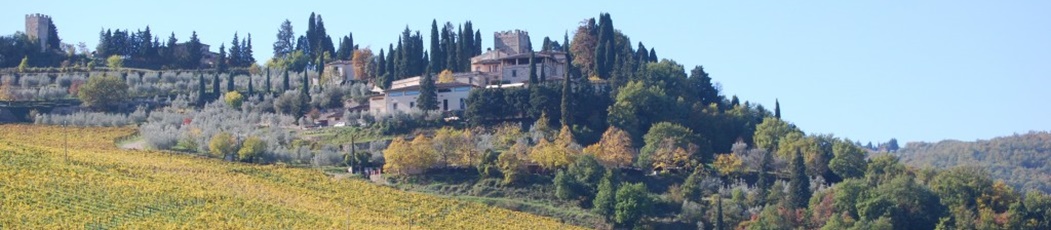 Vía Turín. Etapa 9: Radda in Chianti - Greve in Chianti