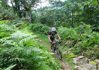 ¿Y si intentamos cruzar los Pirineos en btt?