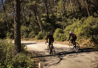 Winter miles, summer smiles - Llegan los brevets